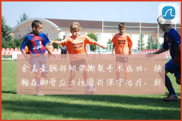 余嘉豪腕部韧带撕裂手术成功,杨瀚森脚骨应力性骨折保守治疗,新星内线恢复路径分歧