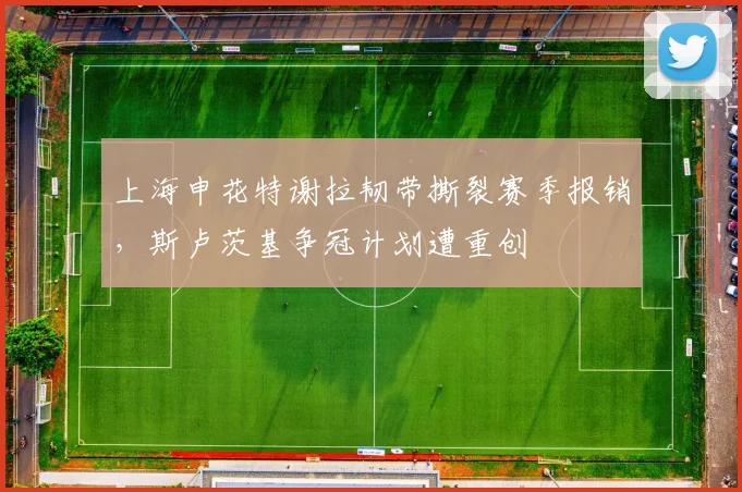 上海申花特谢拉韧带撕裂赛季报销,斯卢茨基争冠计划遭重创